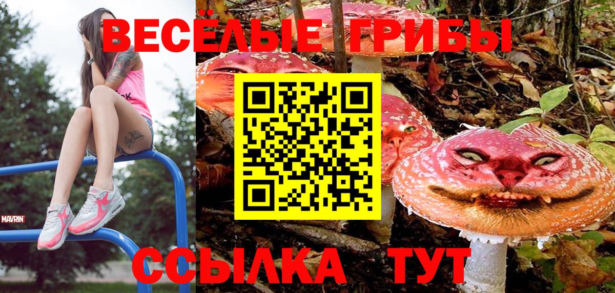 Кемерово  Галлюциногенные грибы ЛСД  Вход с VPN 