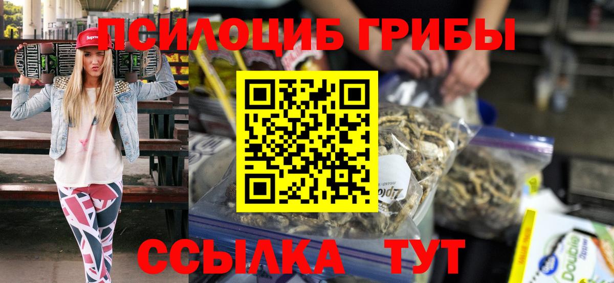 Псилоцибиновые грибы GOLDEN TEACHER Кемерово